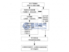 水樹(shù)枝的產(chǎn)生