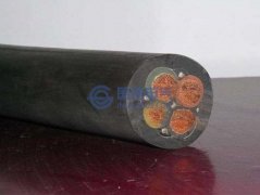 水樹(shù)枝的定義